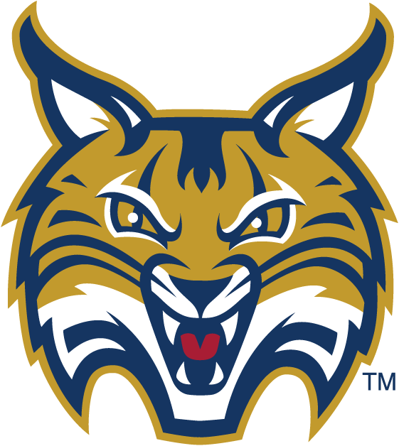 Quinnipiac Bobcats 2002-Pres Secondary Logo diy iron on heat transfer...